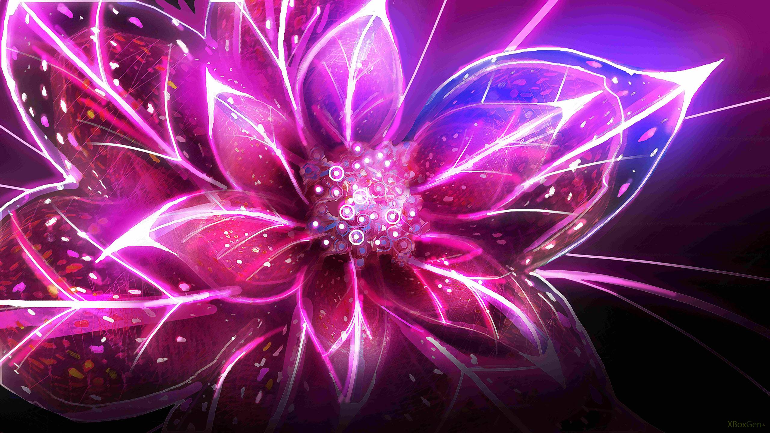 Colorful Flowers Digital Art Wallpapers