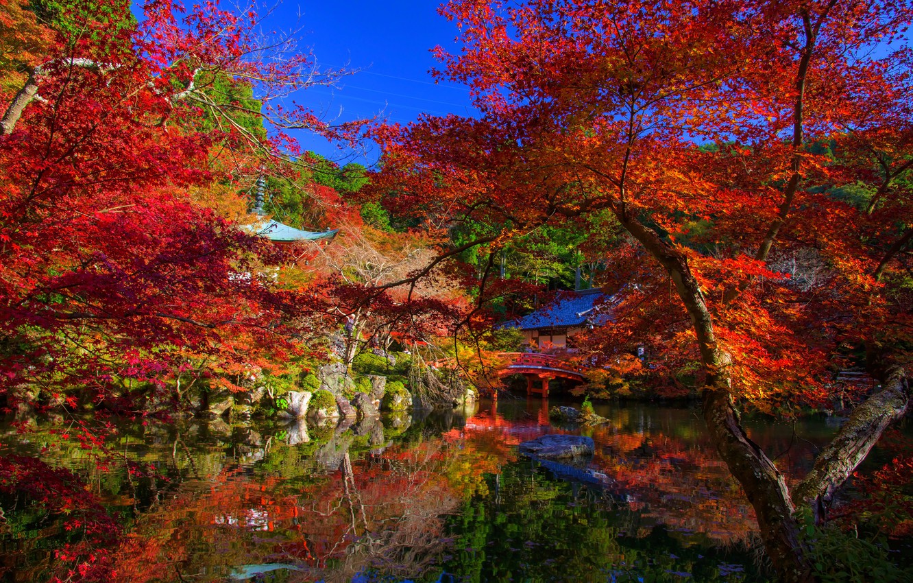 Colorful Landscape Forest Fall Wallpapers