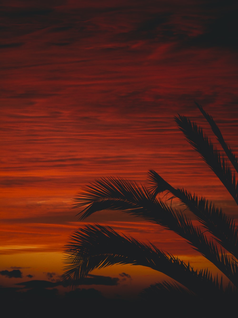 Colorful Red Sunset Wallpapers