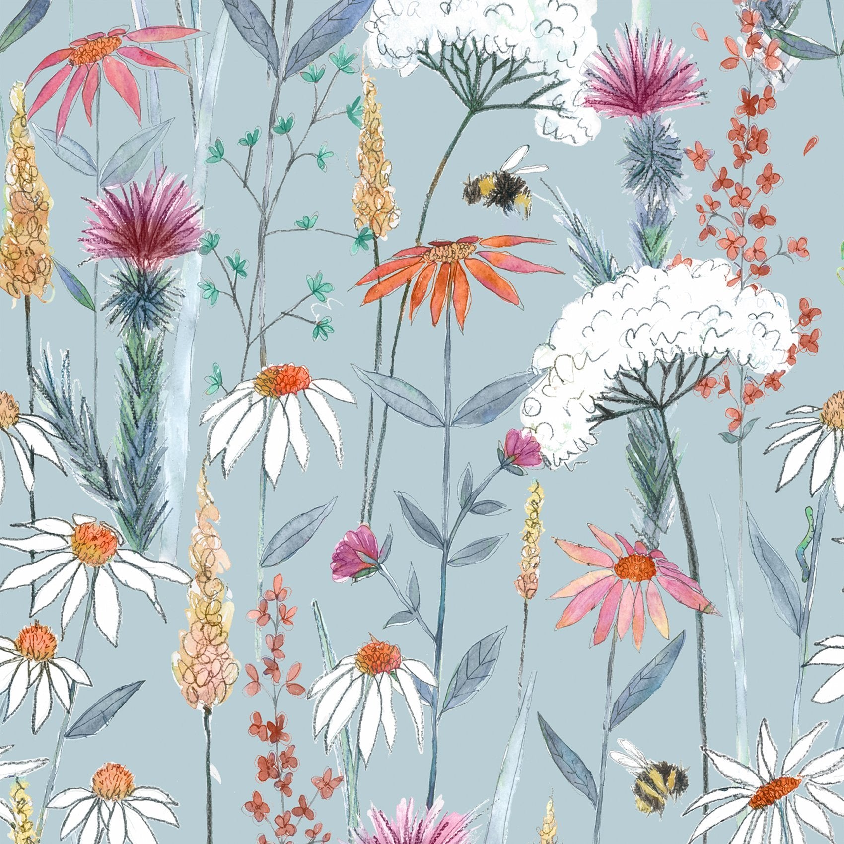 Cornflower Wallpapers