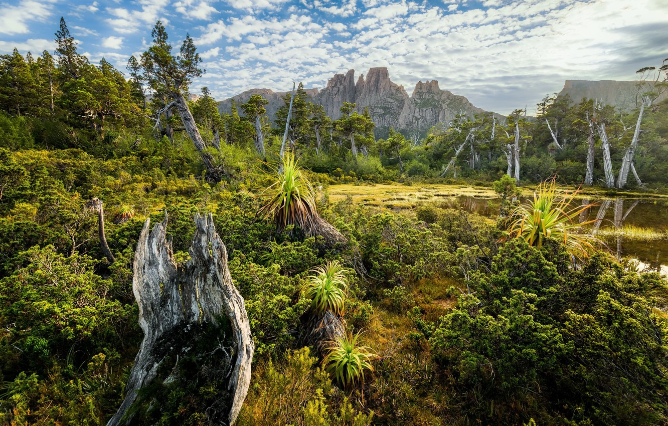 Cradle Mountain Wallpapers