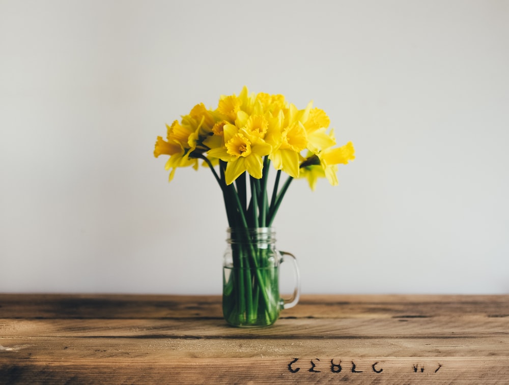 Daffodil Wallpapers