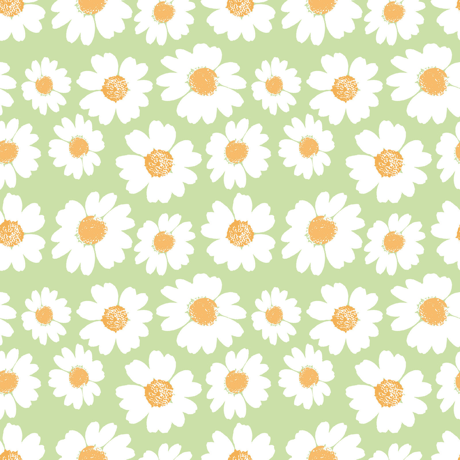 Daisy Wallpapers