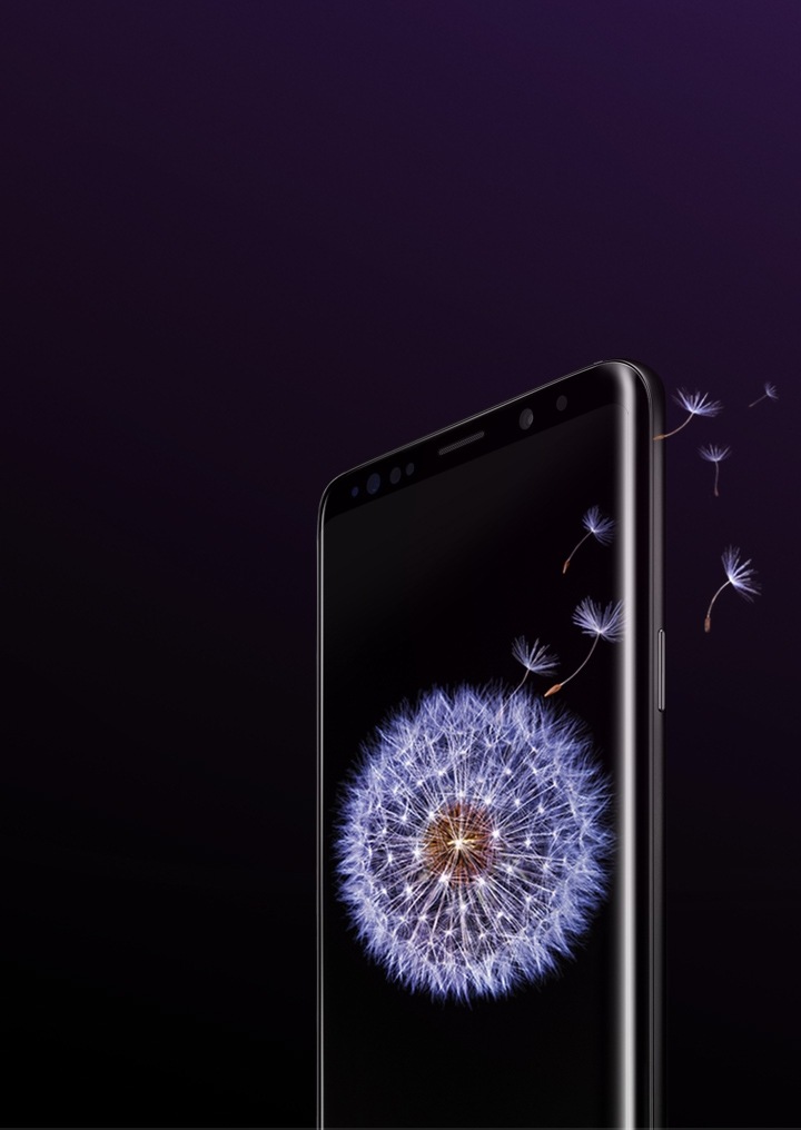 Dandelion Flower Samsung Galaxy S9 Stock Wallpapers