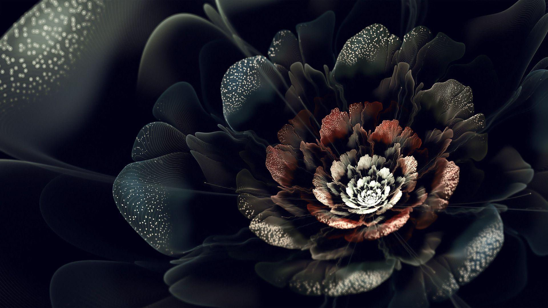 Dark Flowers Plants Wallpapers