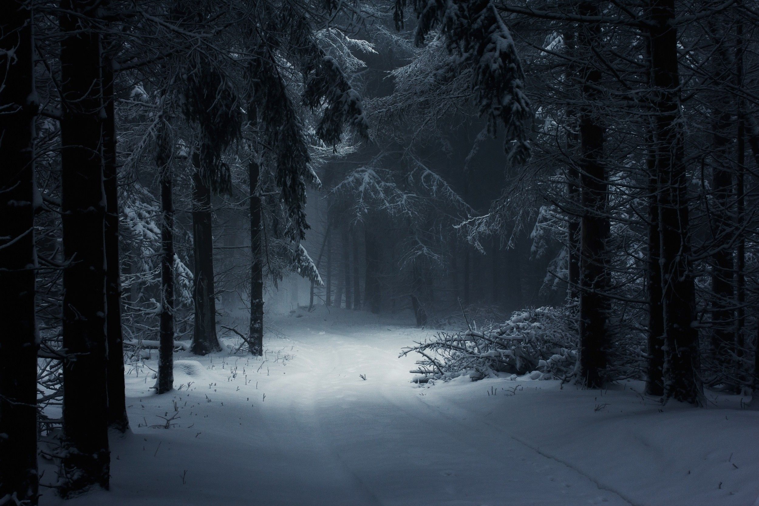 Dark Forest Woods Snow Winter Wallpapers