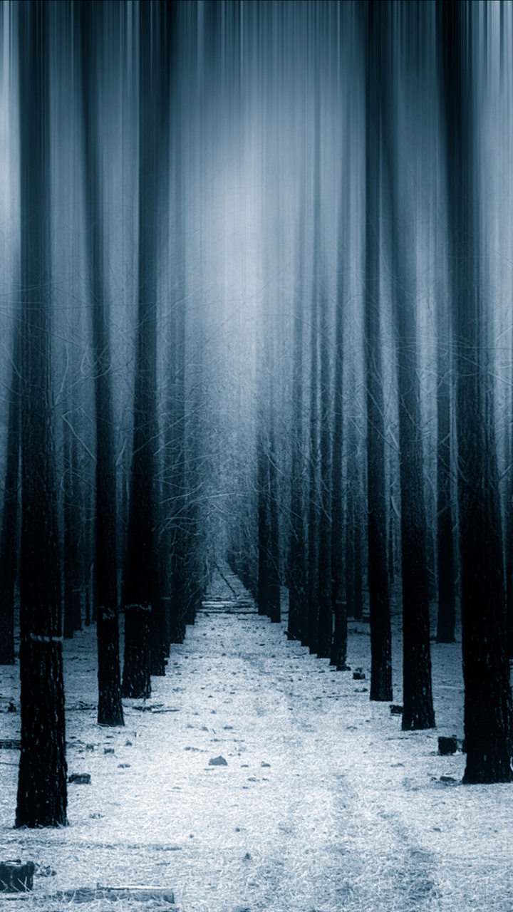 Dark Forest Woods Snow Winter Wallpapers