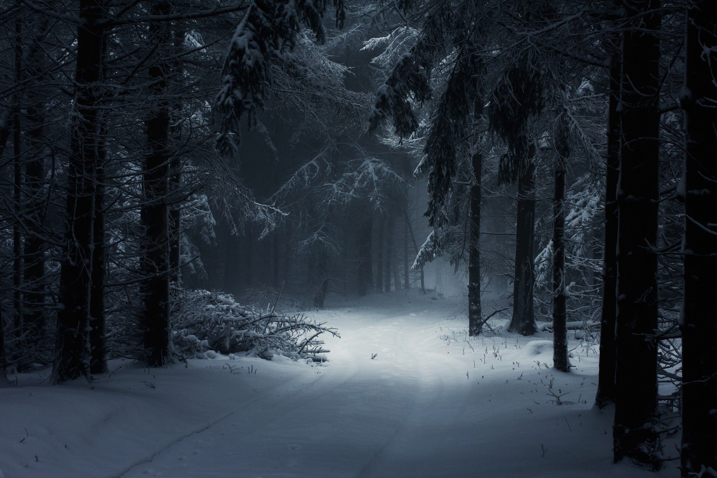 Dark Forest Woods Snow Winter Wallpapers