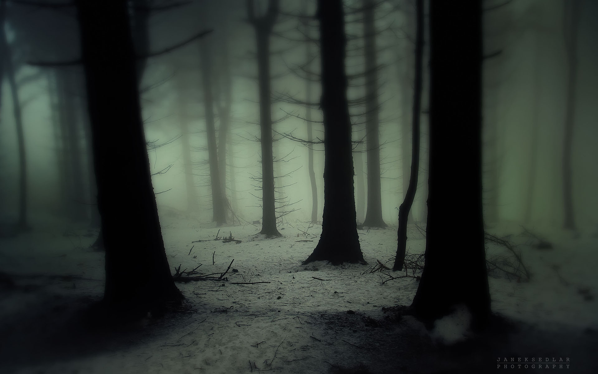 Dark Forest Woods Snow Winter Wallpapers