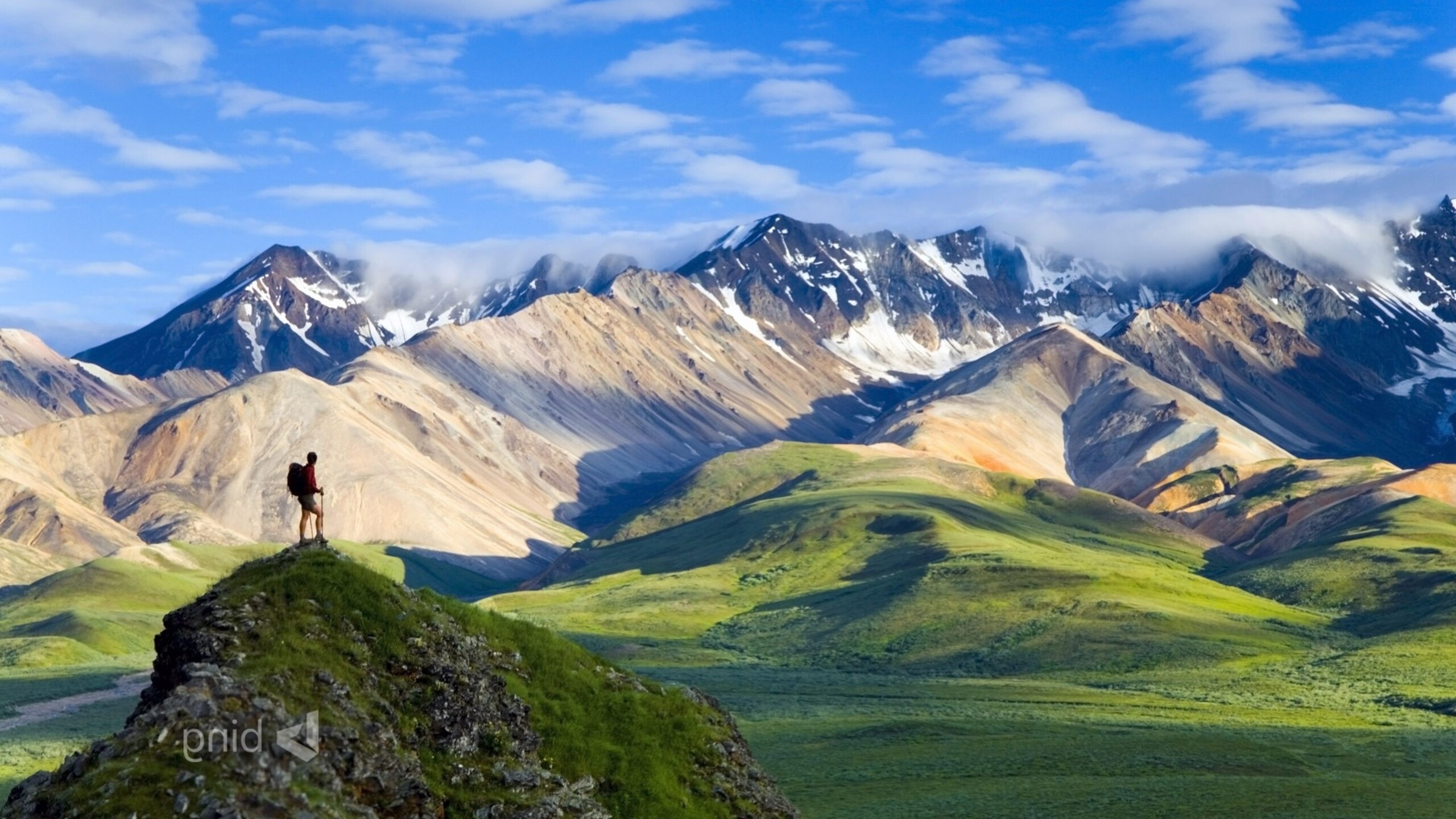 Denali Wallpapers