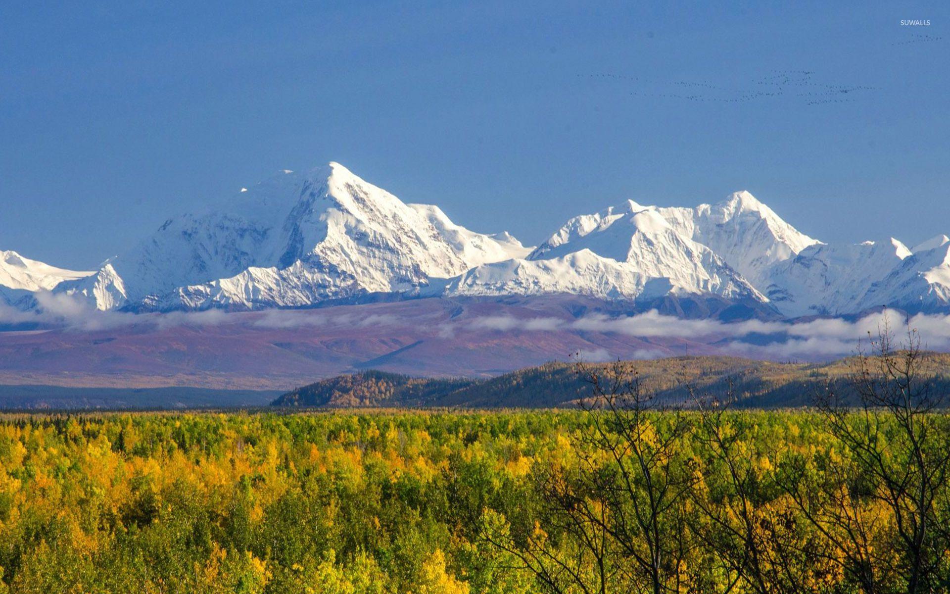 Denali National Park And Preserve Wallpapers