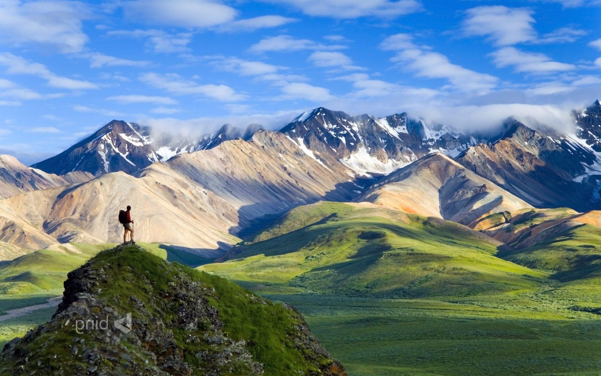 Denali National Park And Preserve Wallpapers