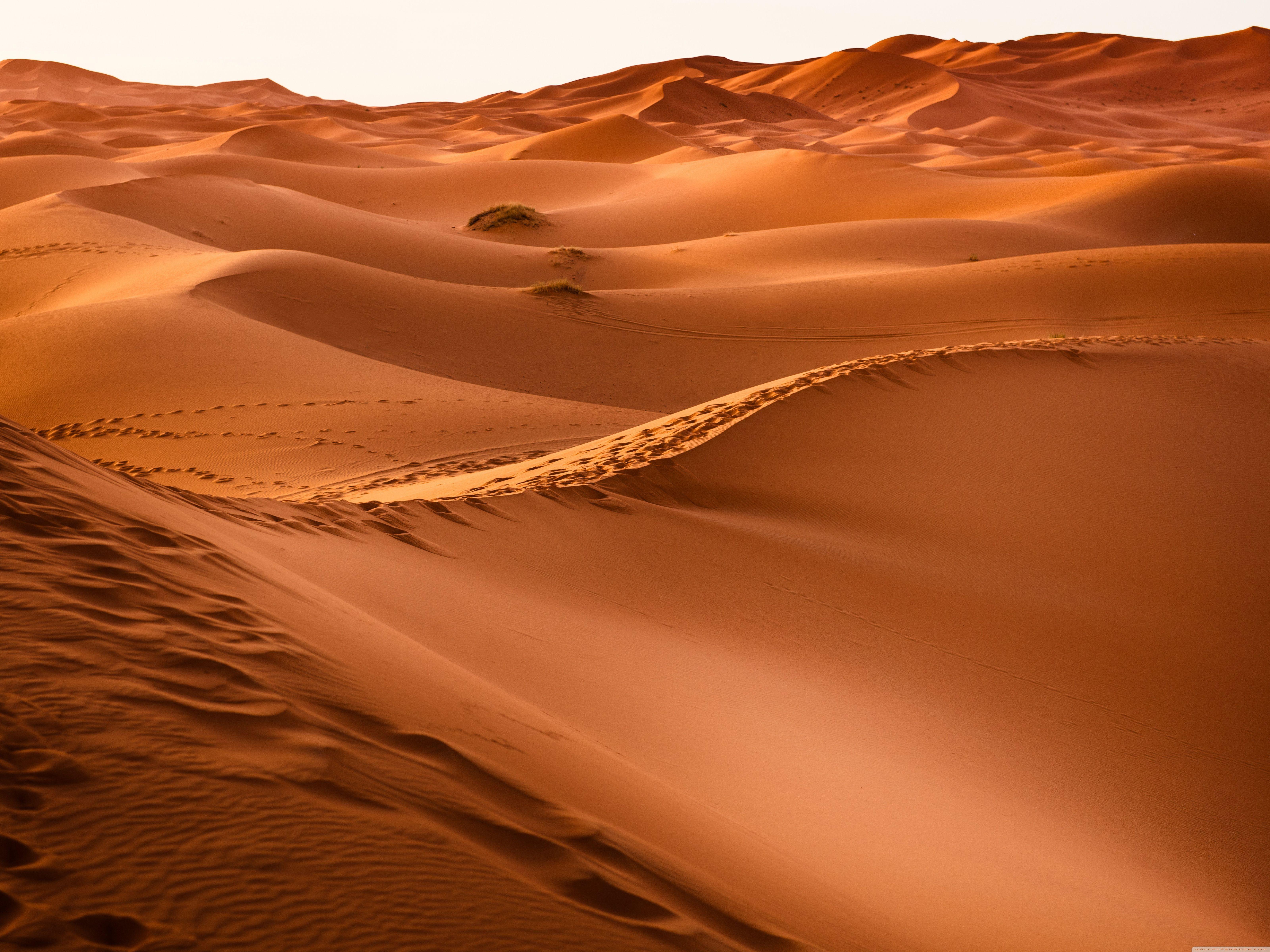 Desert 4K 2021 Photography Wallpapers