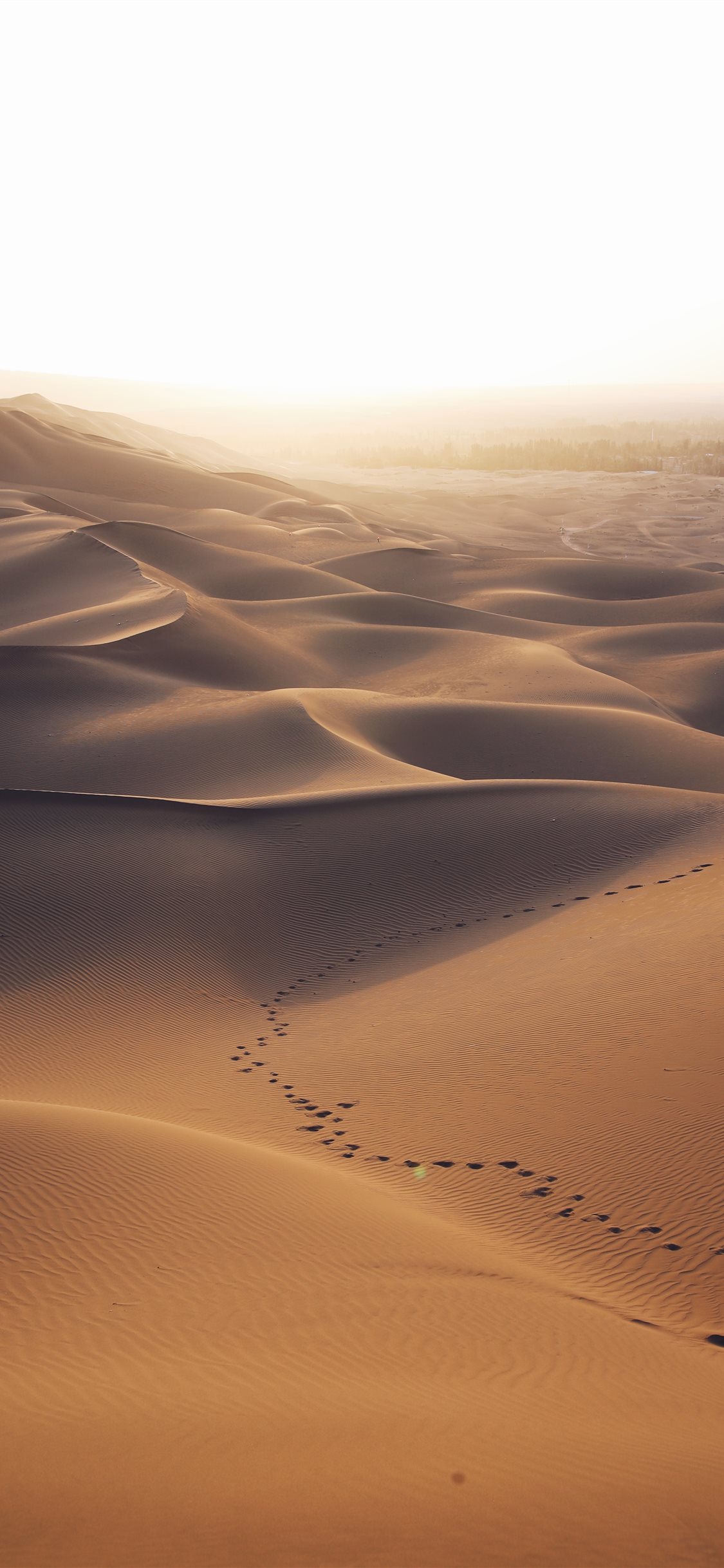 Desert 4K Sand Wallpapers