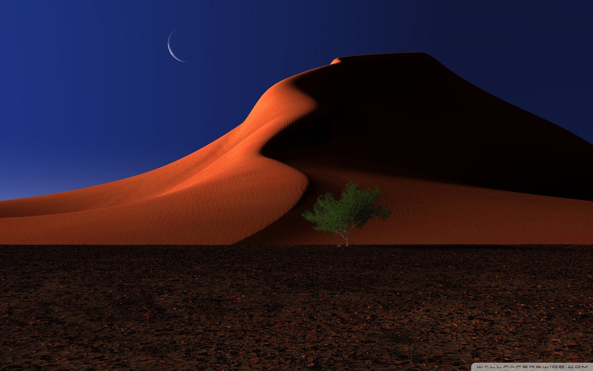 Desert Dune At Night Wallpapers