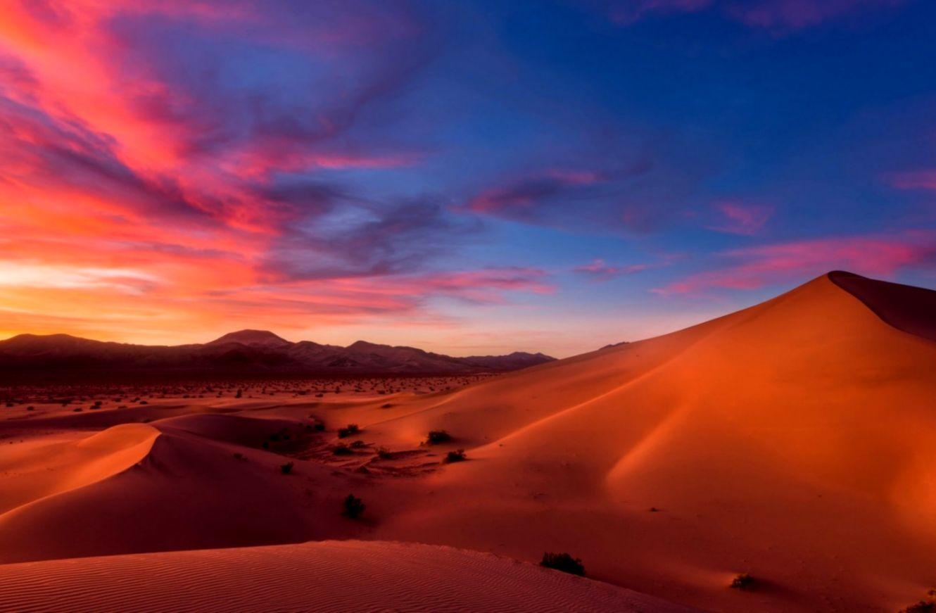 Desert In Neon Sunset Wallpapers