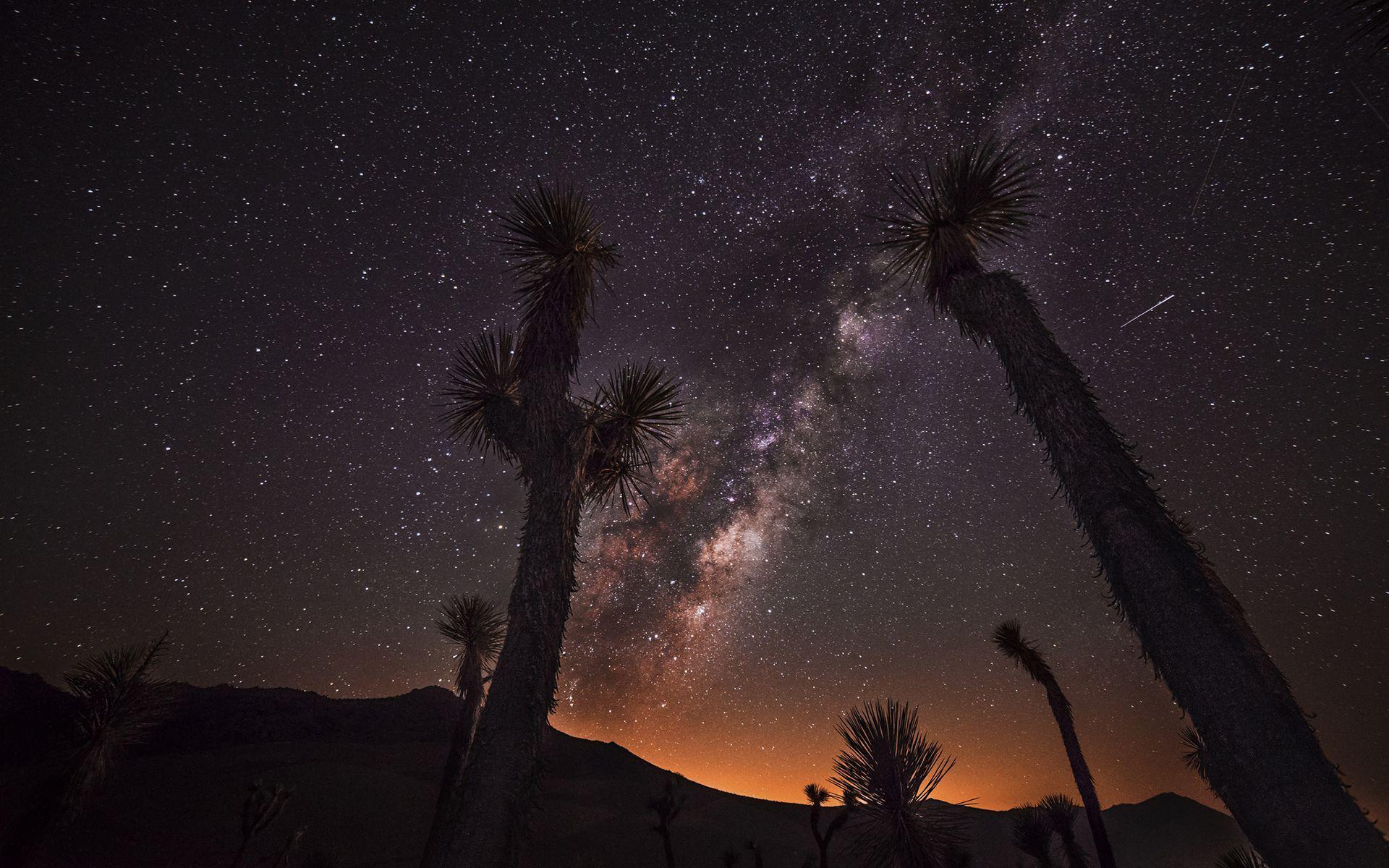 Desert Starry Night Wallpapers