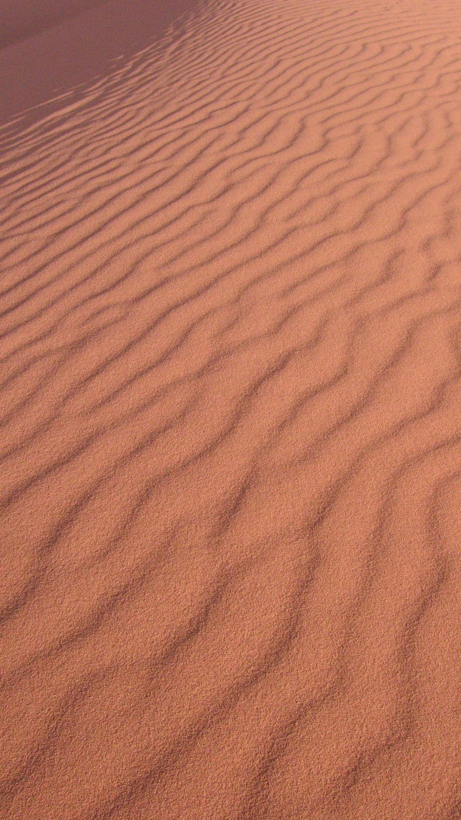 Desert Surface Wallpapers