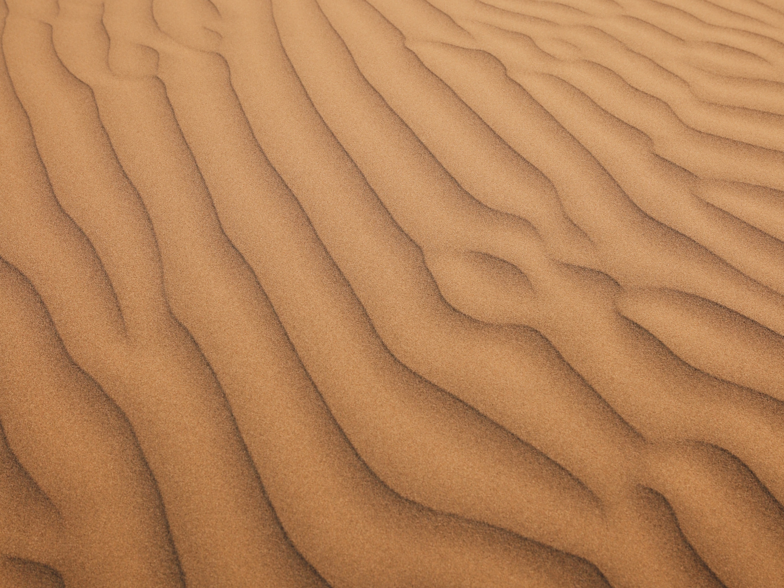 Desert Surface Wallpapers