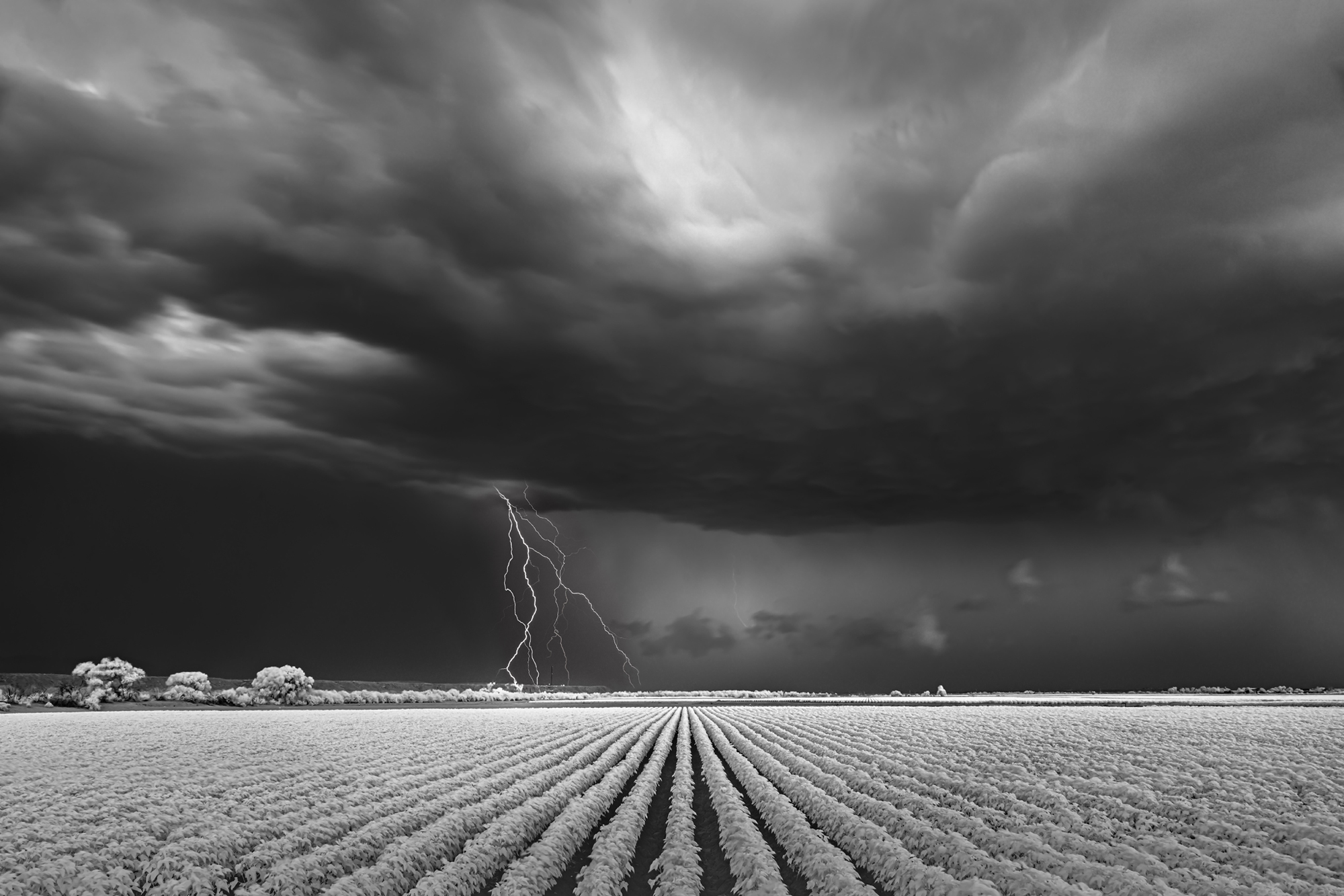 Dramatic Field Under Dark Clouds Wallpapers