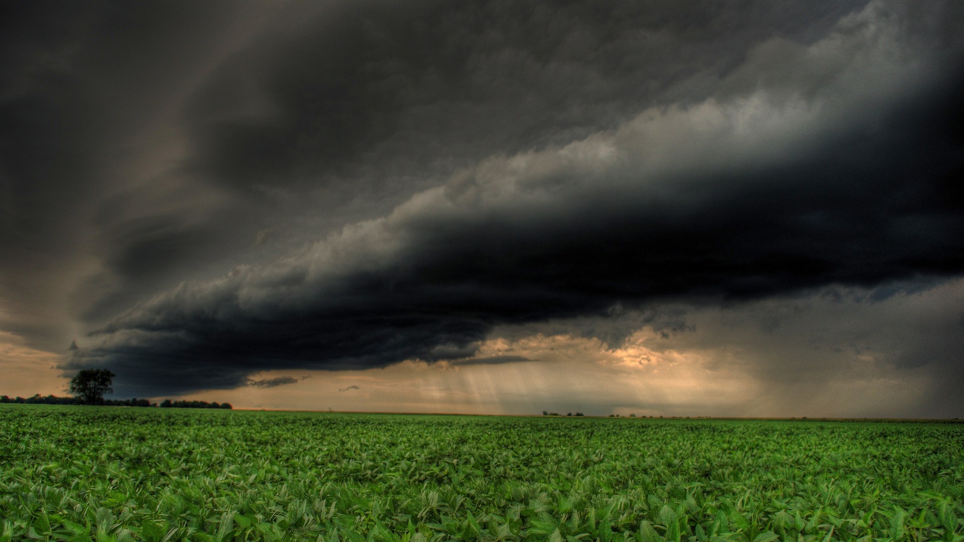 Dramatic Field Under Dark Clouds Wallpapers