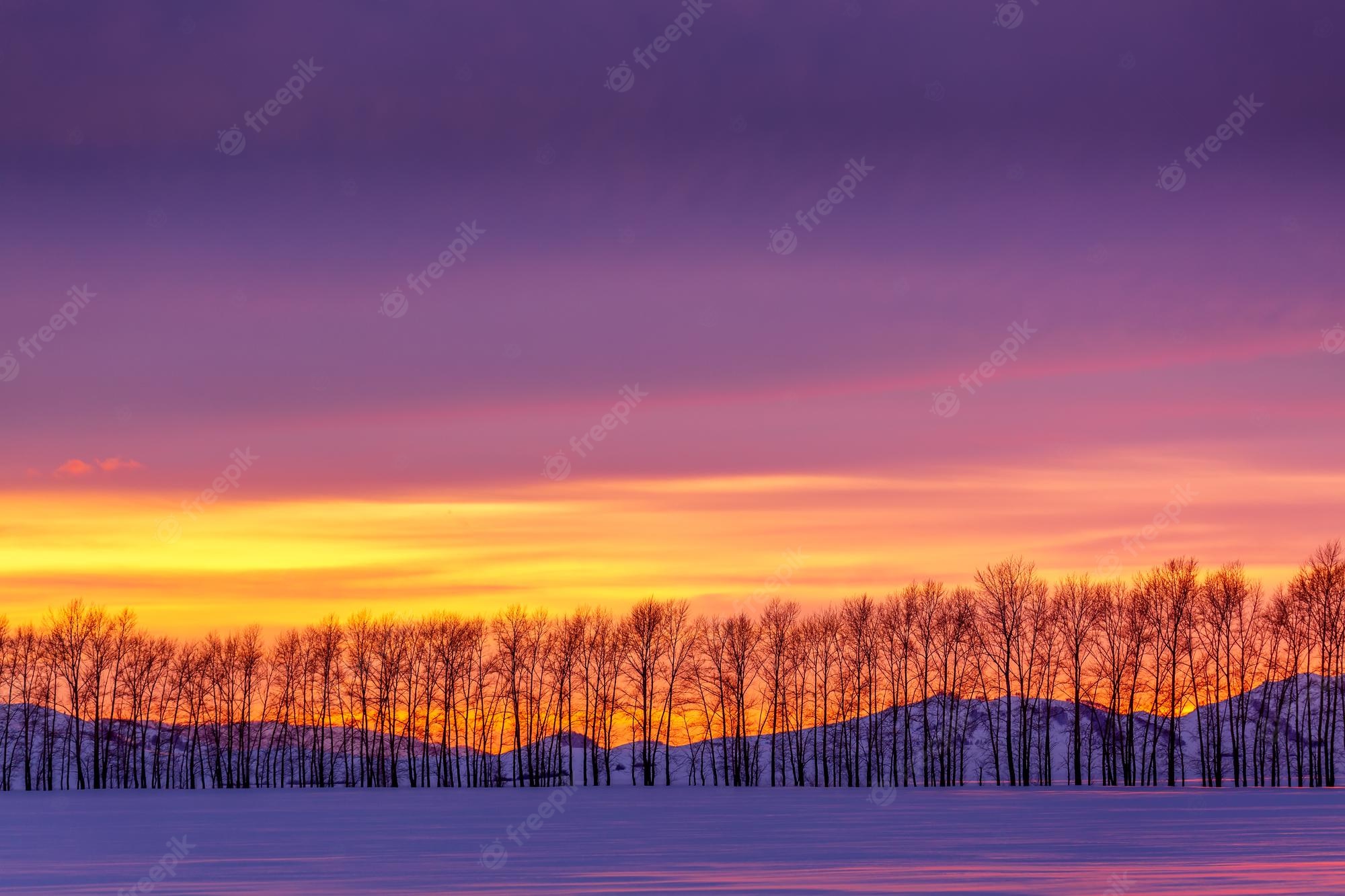 Dramatic Winter Twilight In Forest Wallpapers