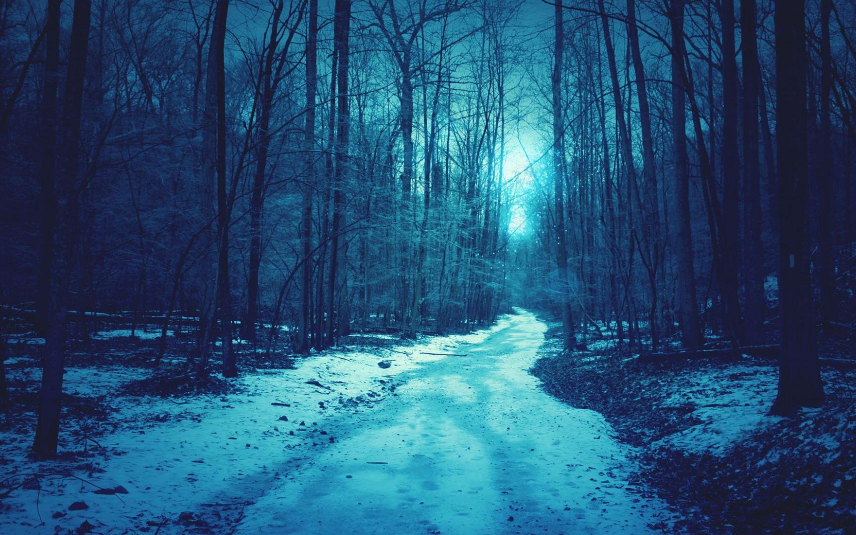 Dramatic Winter Twilight In Forest Wallpapers