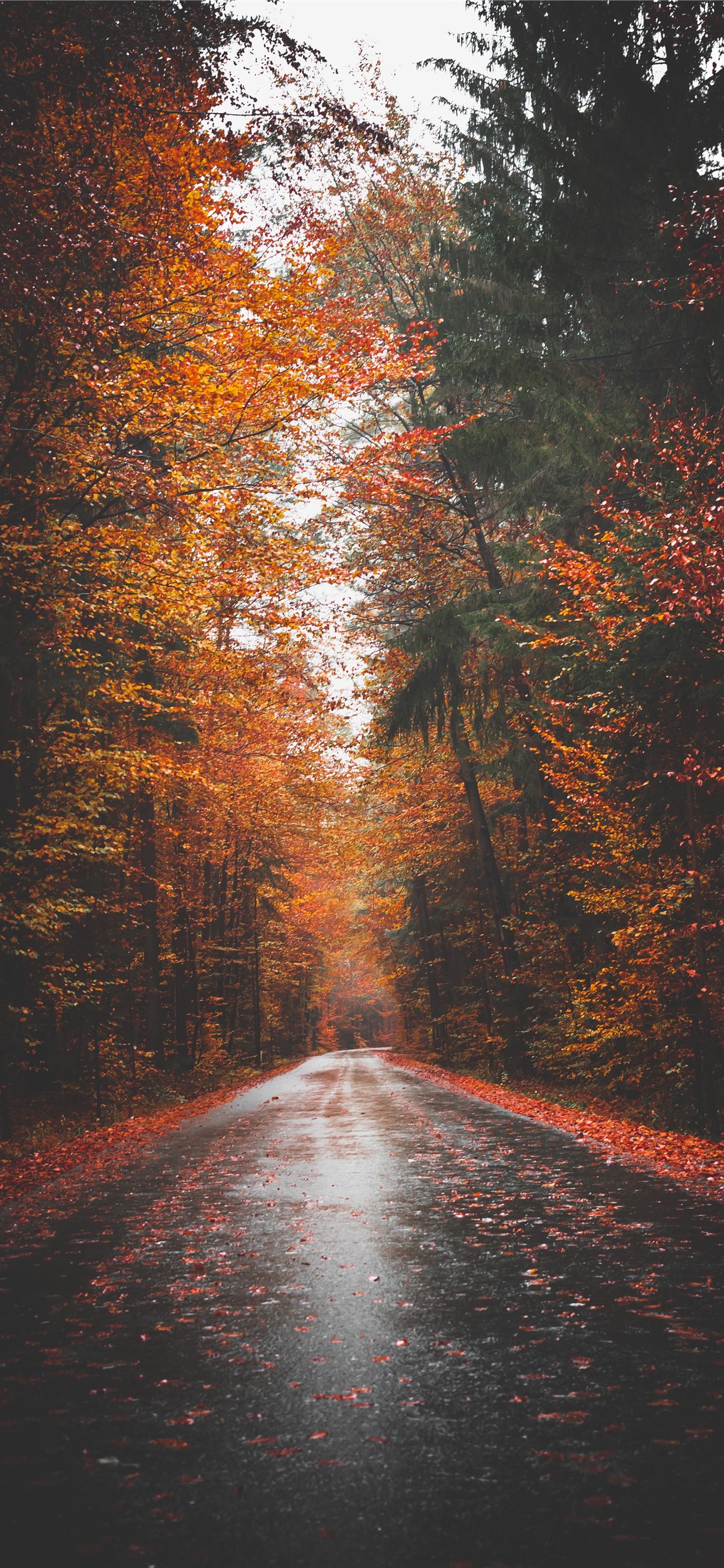 Empty Road Wallpapers