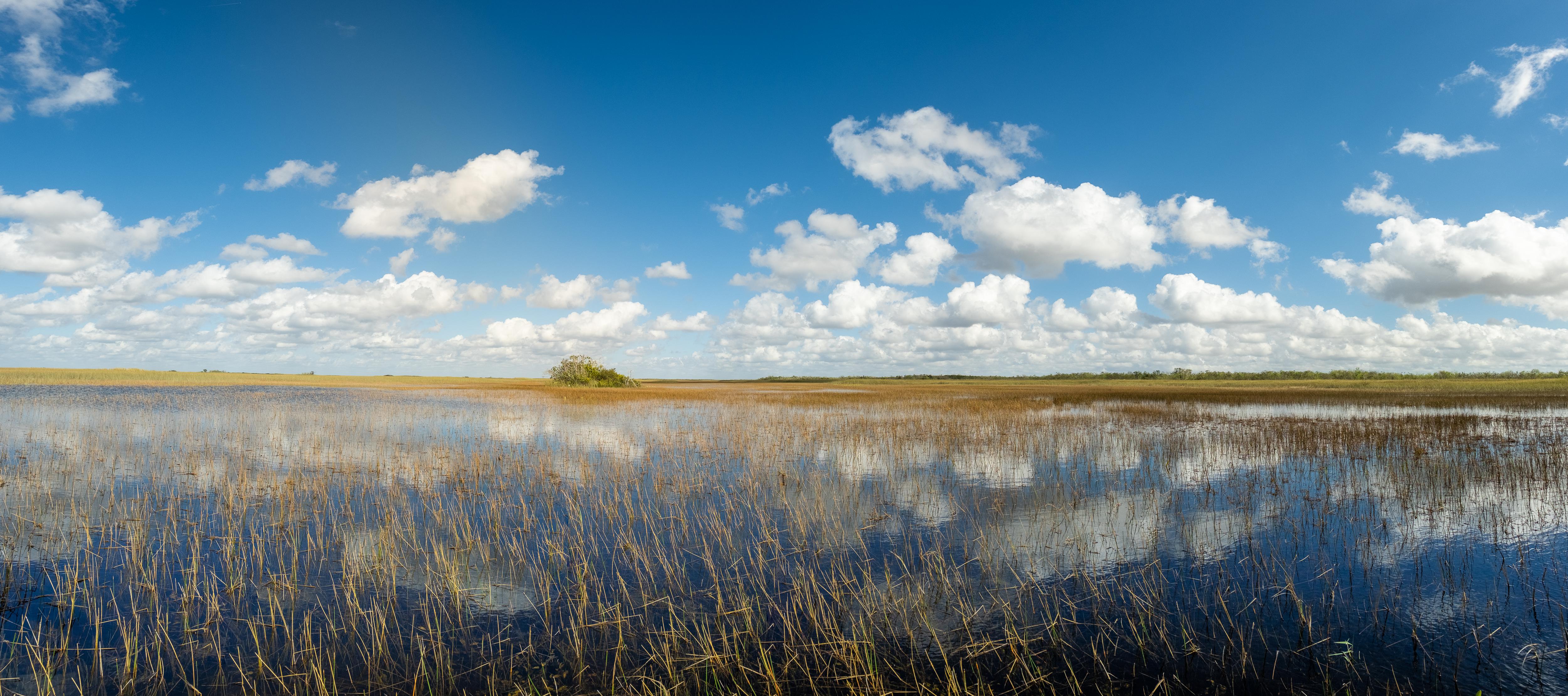 Everglades National Park Wallpapers