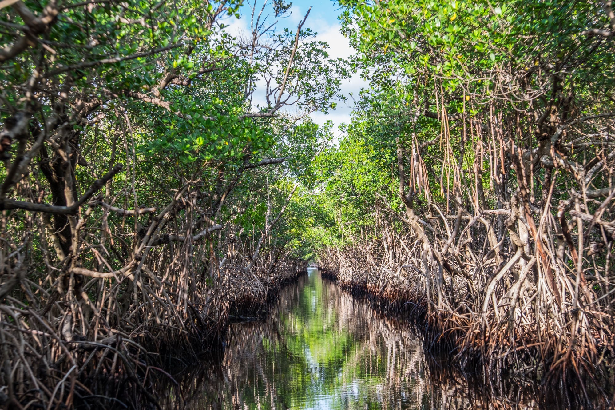 Everglades National Park Wallpapers