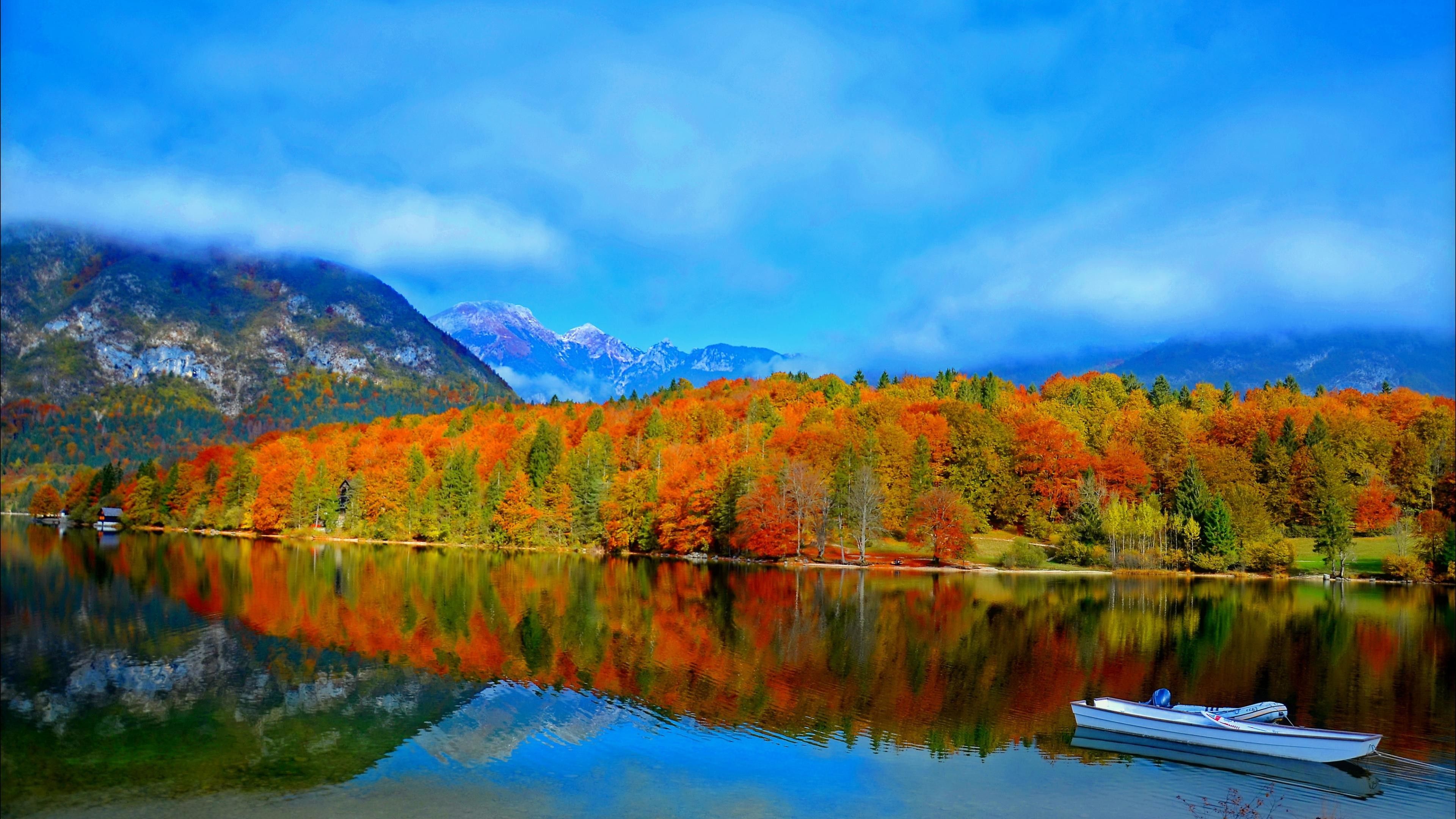 Fall Foliage Forest Lake Nature Reflection Wallpapers