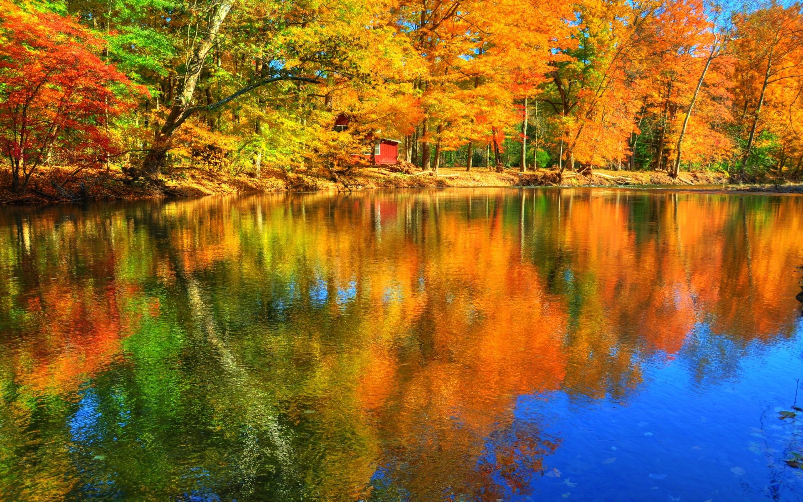 Fall Foliage Forest Lake Nature Reflection Wallpapers