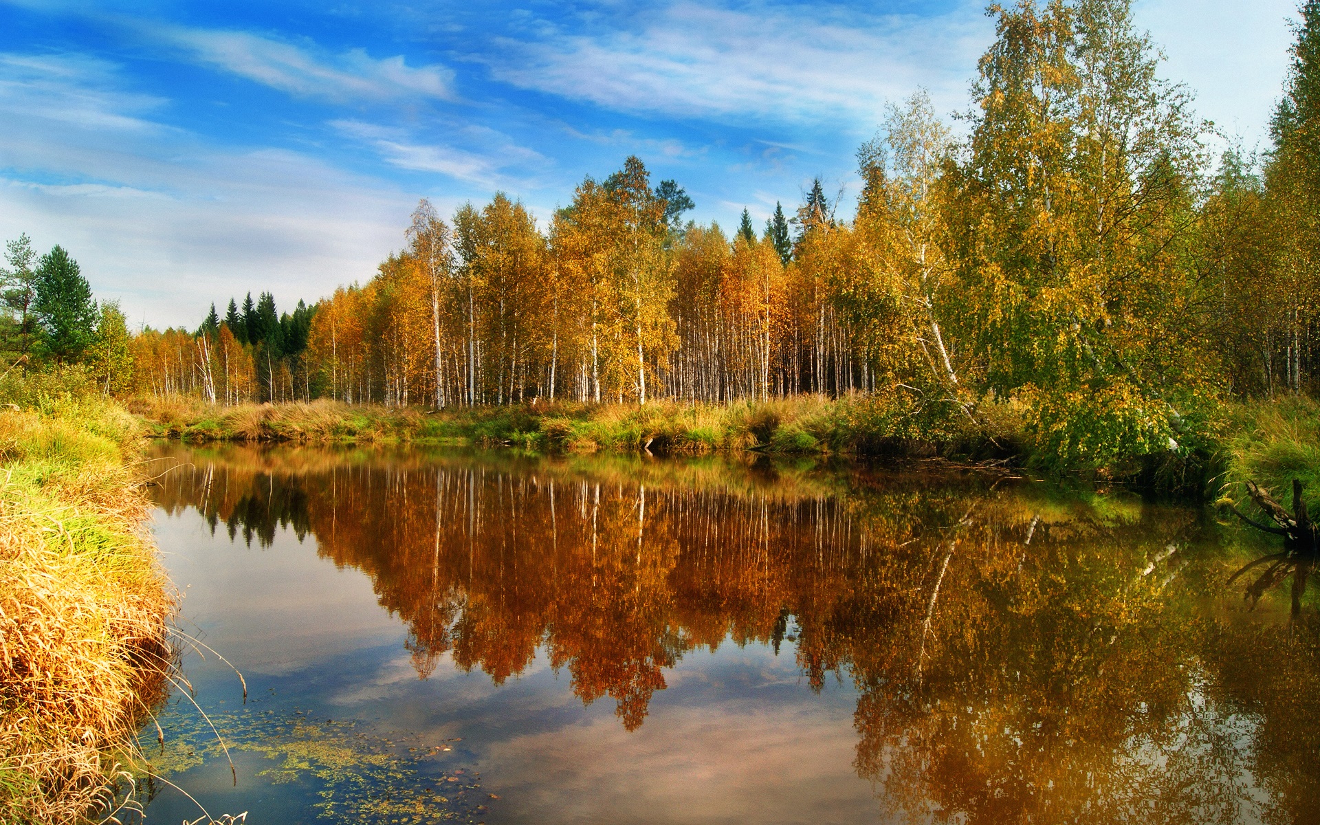 Fall Foliage Forest Lake Nature Reflection Wallpapers