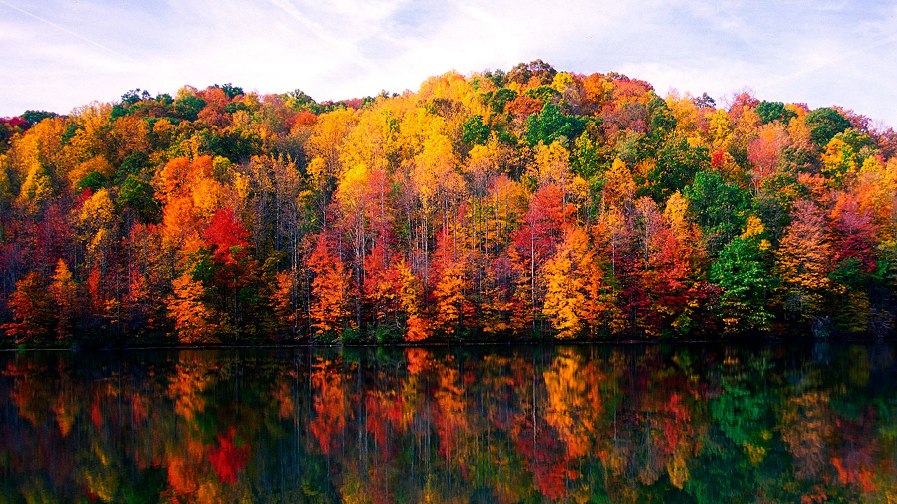 Fall Foliage Forest Lake Nature Reflection Wallpapers