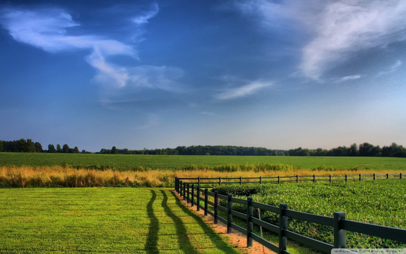 Farmhouse Field Wallpapers