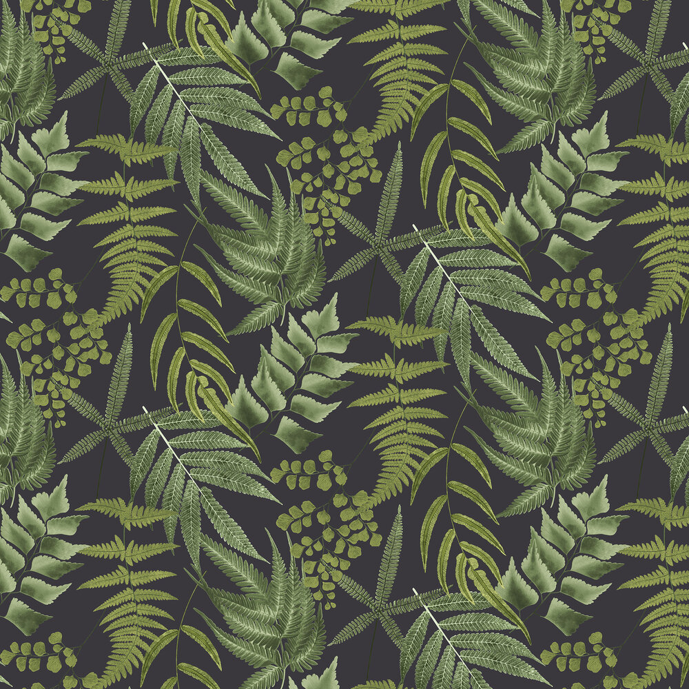 Fern Wallpapers