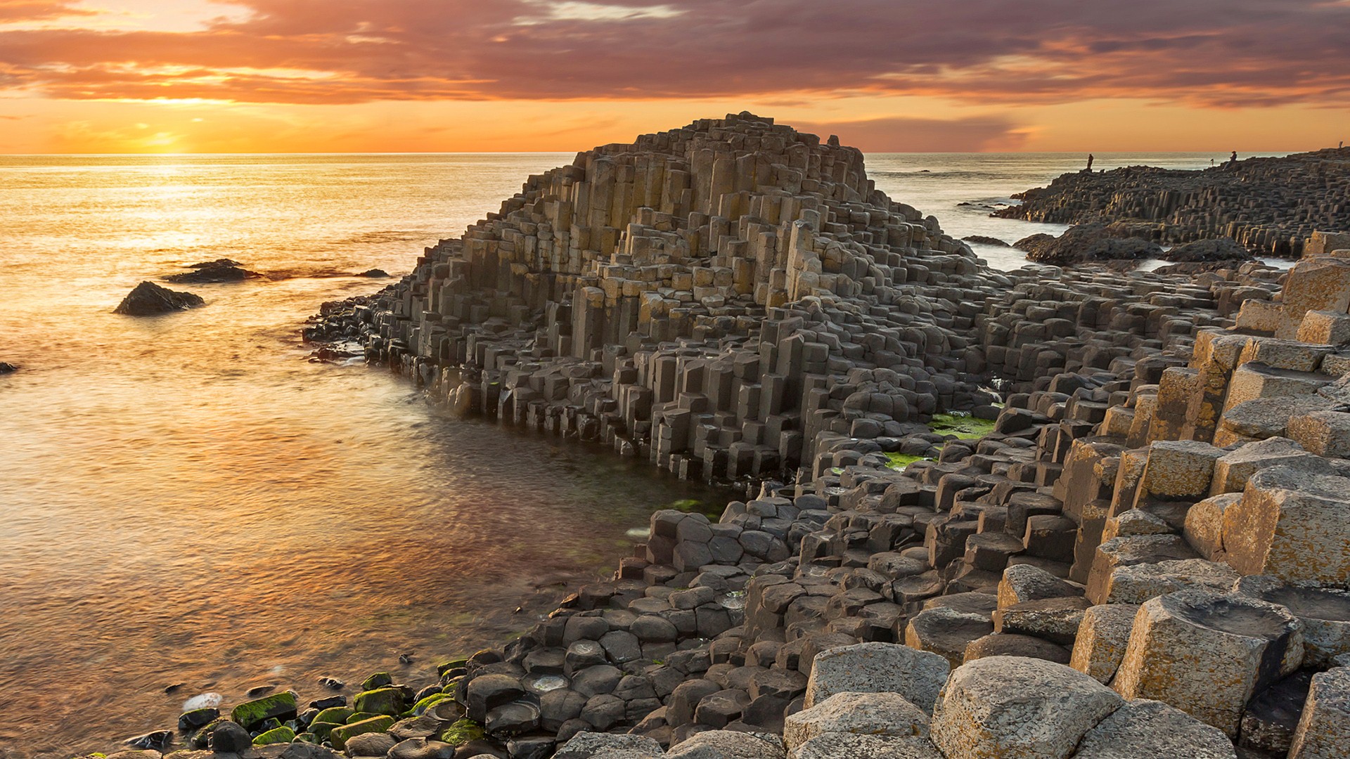 Fingal Head Causeway Wallpapers