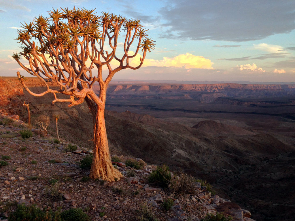 Fish River Canyon Wallpapers