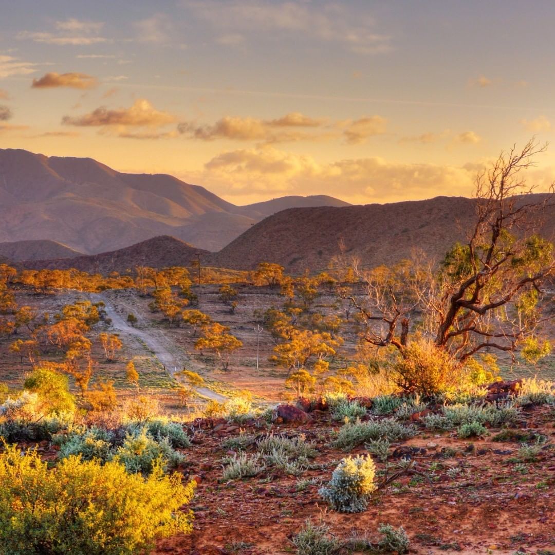 Flinders Ranges Wallpapers