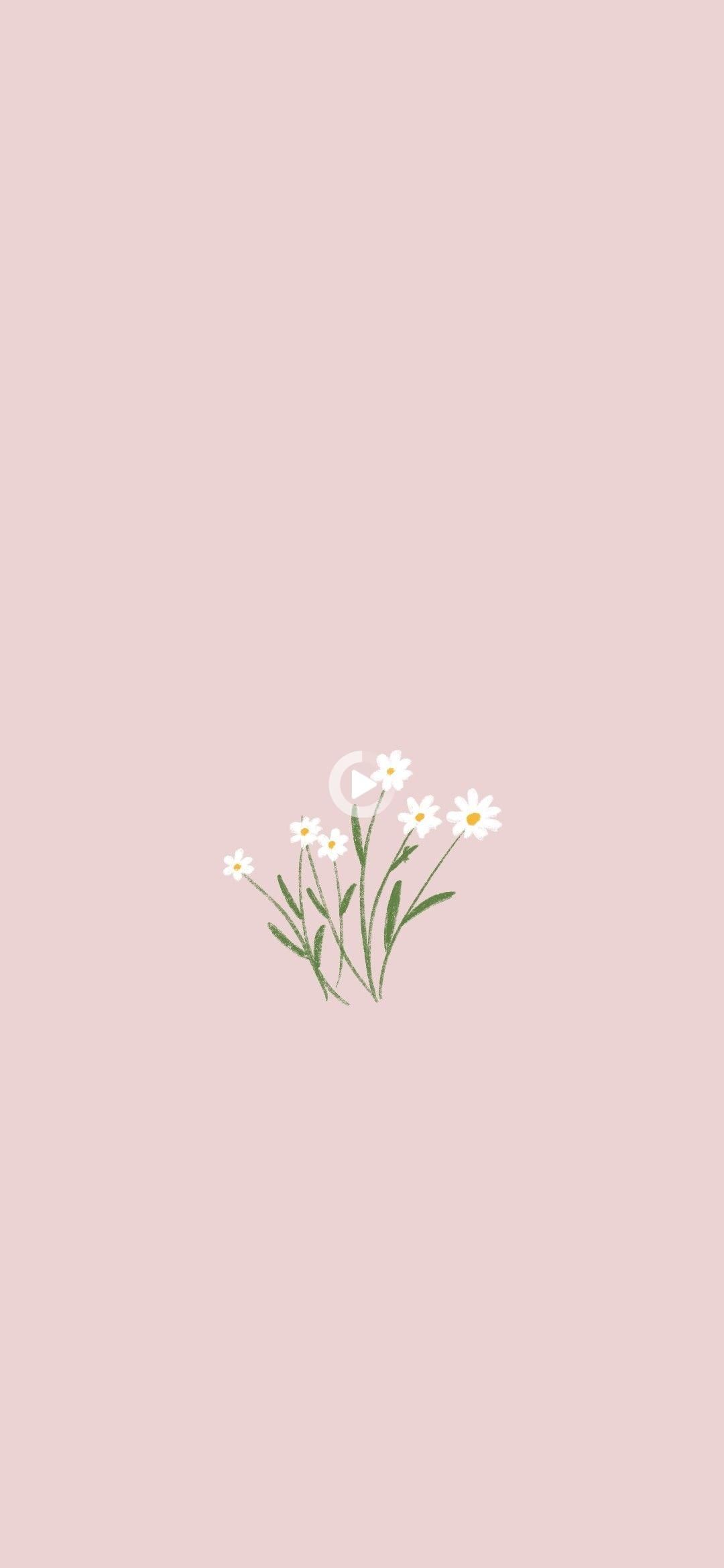 Flower Wallpapers