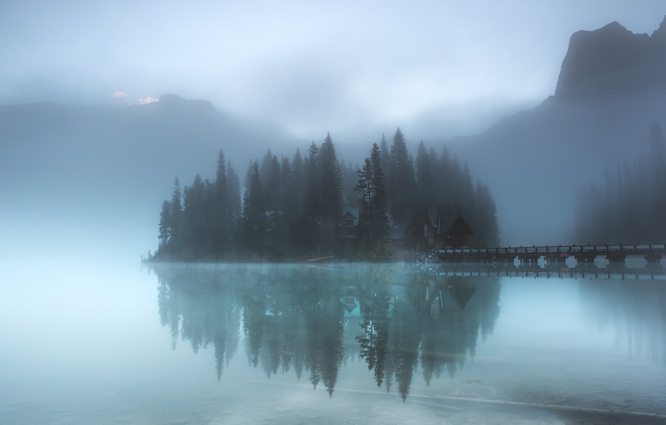 Fog Forest Mountain Photography Wallpapers
