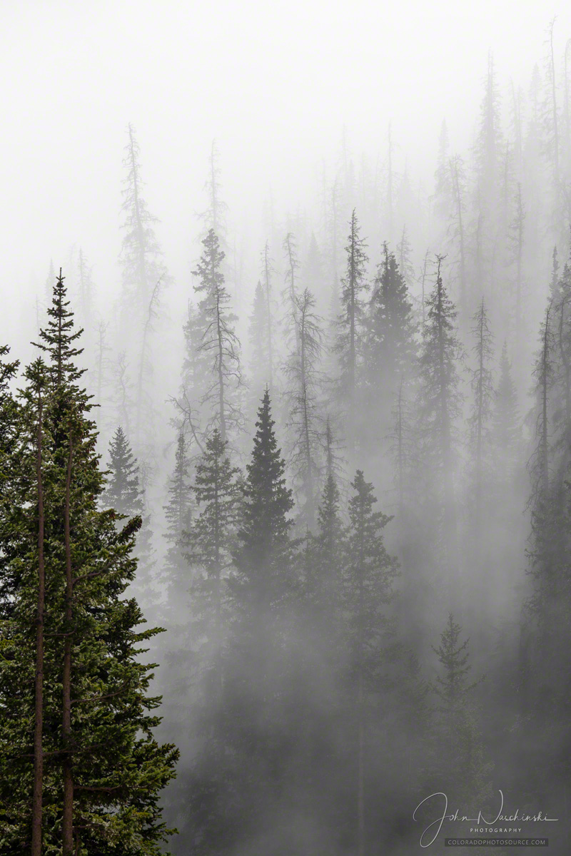 Fog Forest Mountain Photography Wallpapers