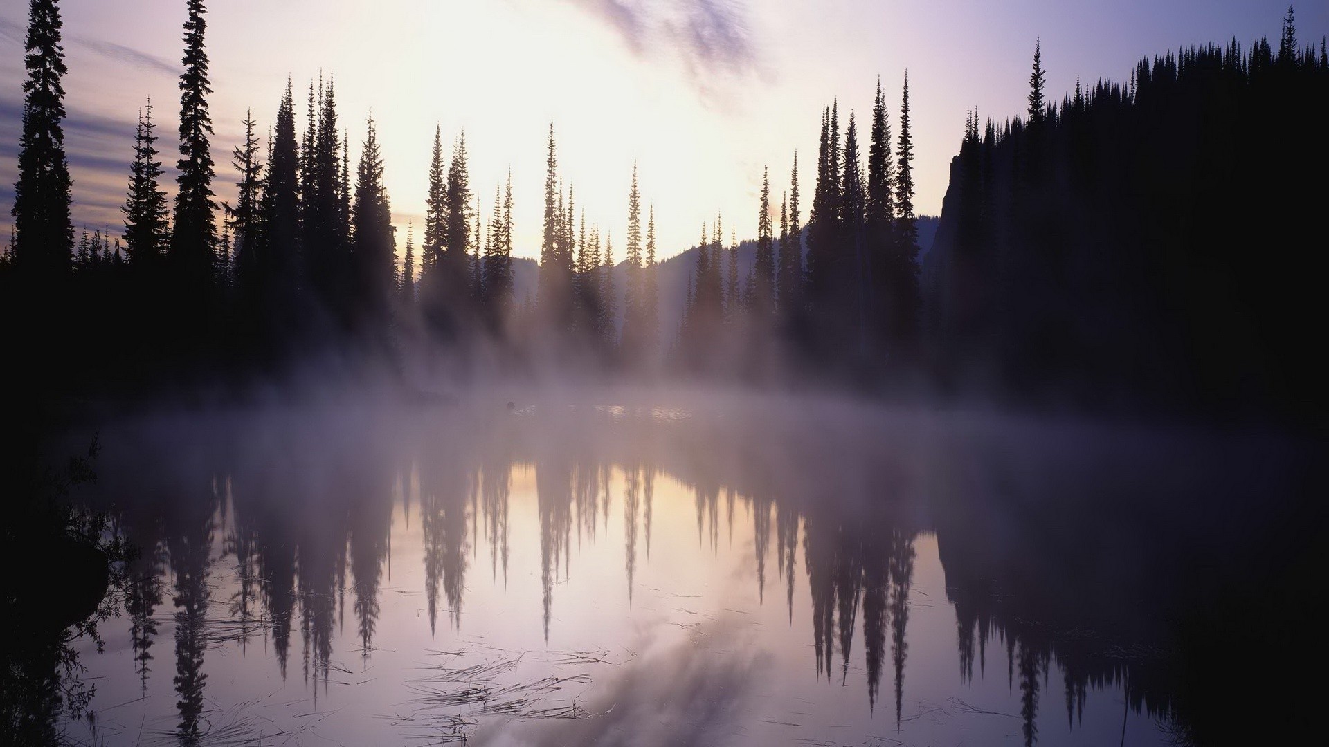 Fog Over Lake Wallpapers