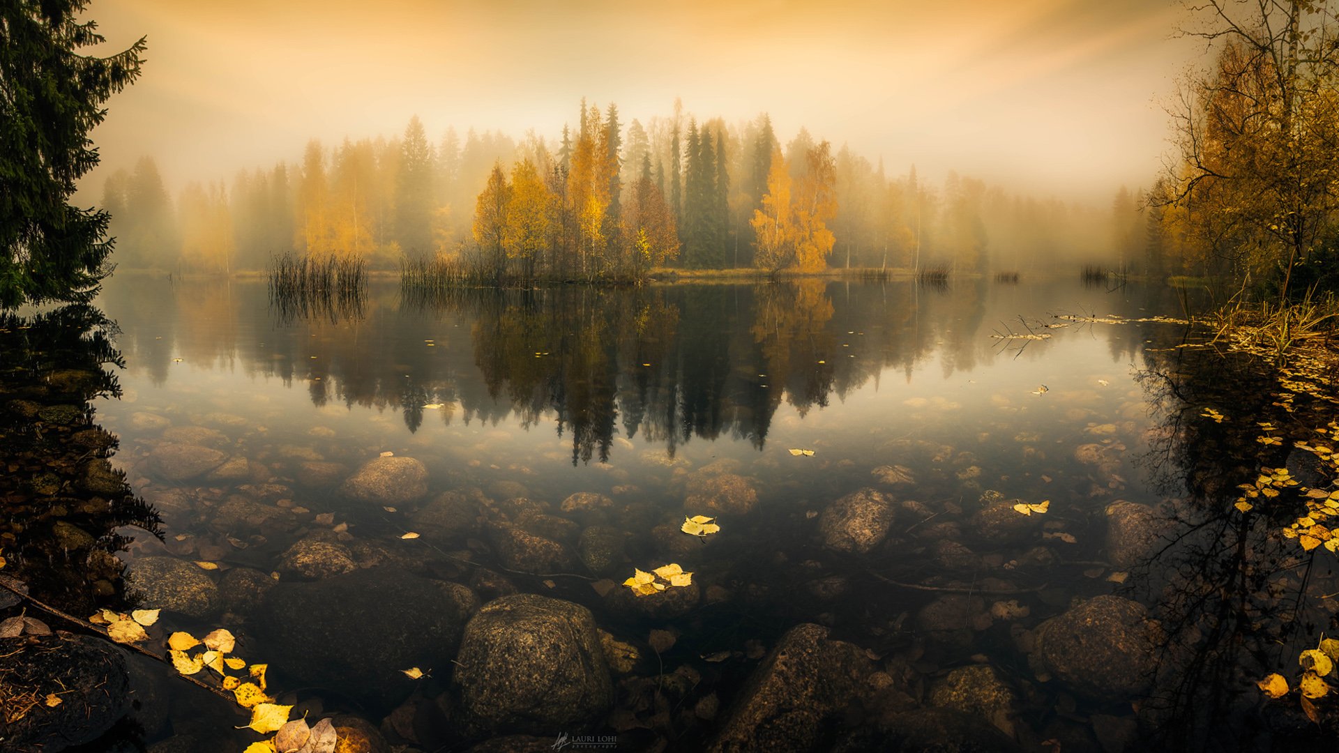 Fog Over Lake Wallpapers