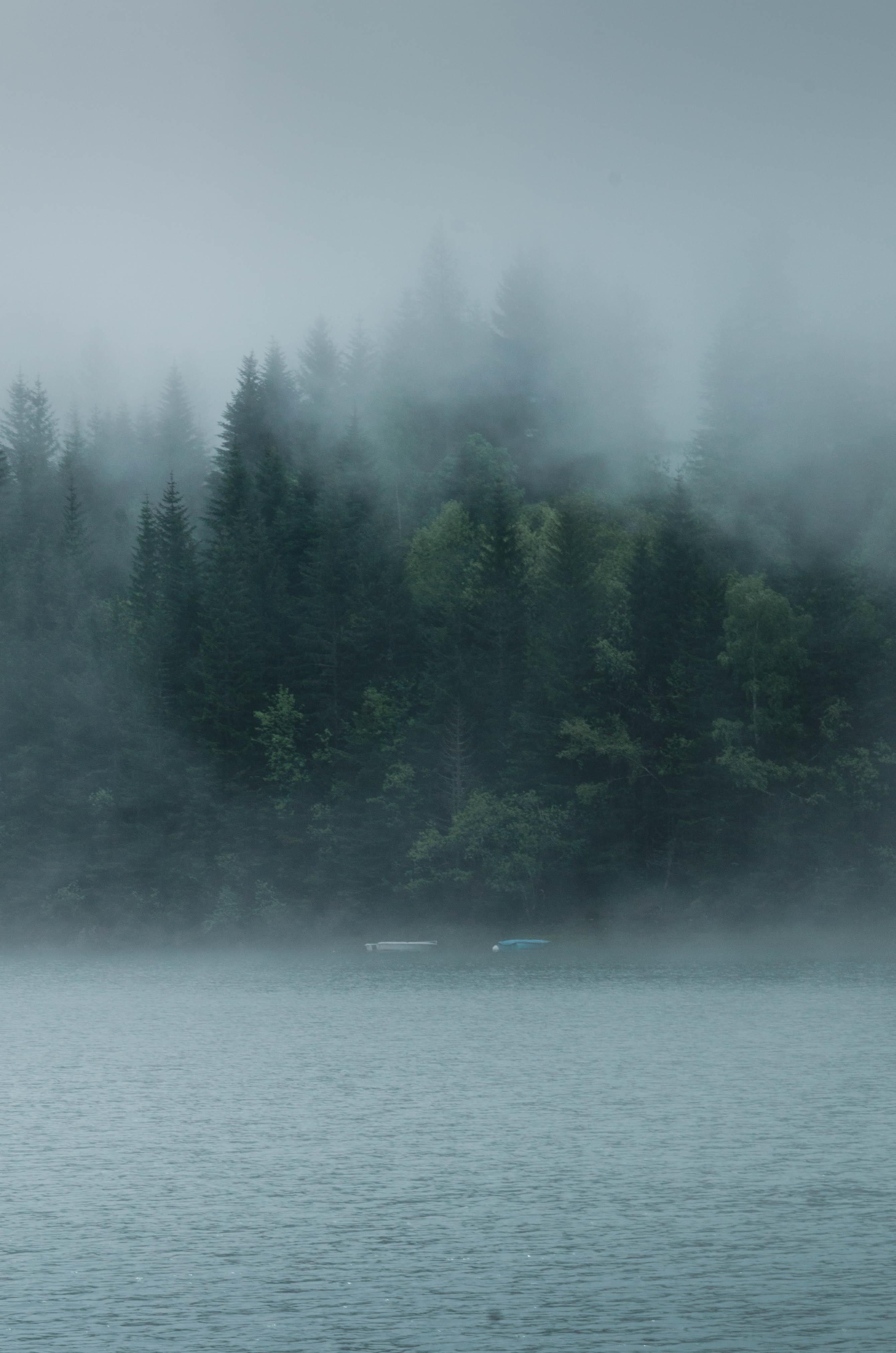 Fog Over Lake Wallpapers