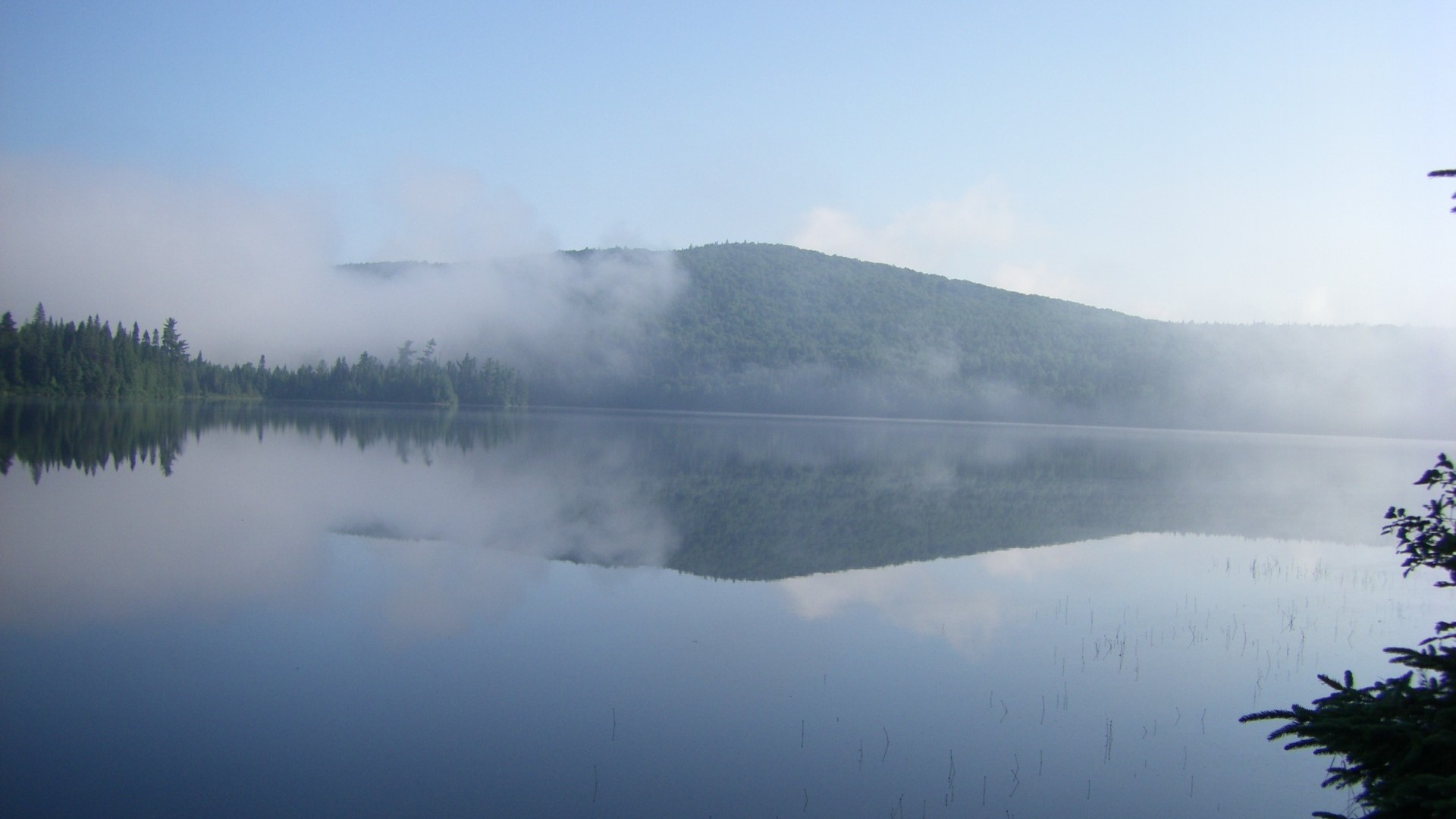 Fog Over Lake Wallpapers