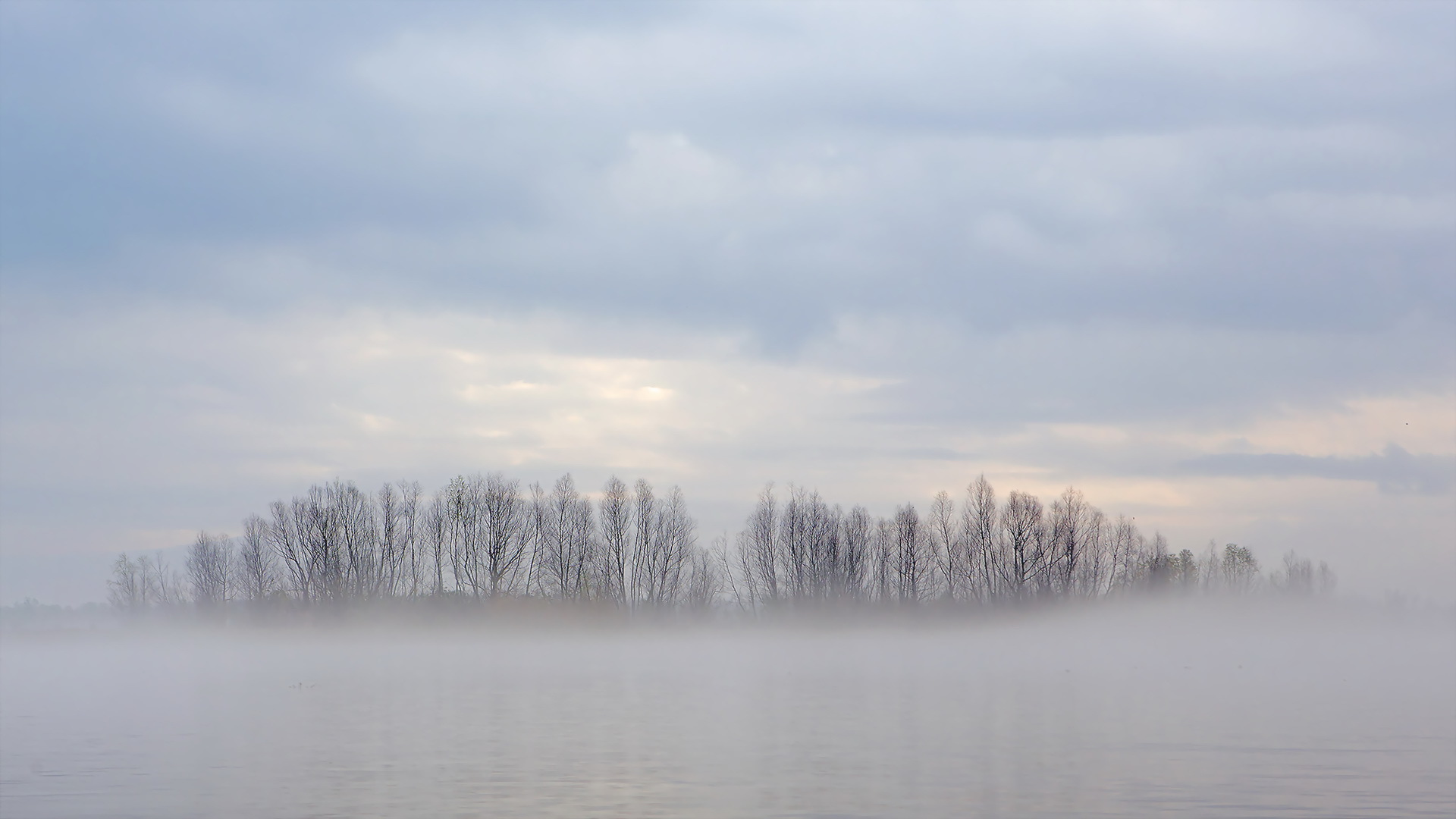 Fog Over Lake Wallpapers