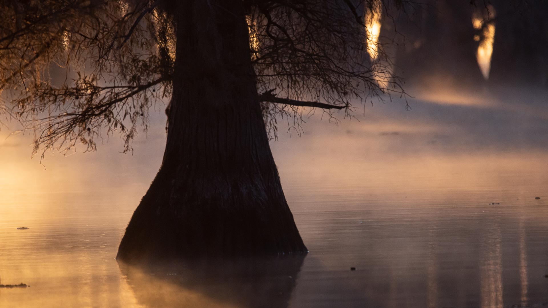 Fog Over Lake Wallpapers