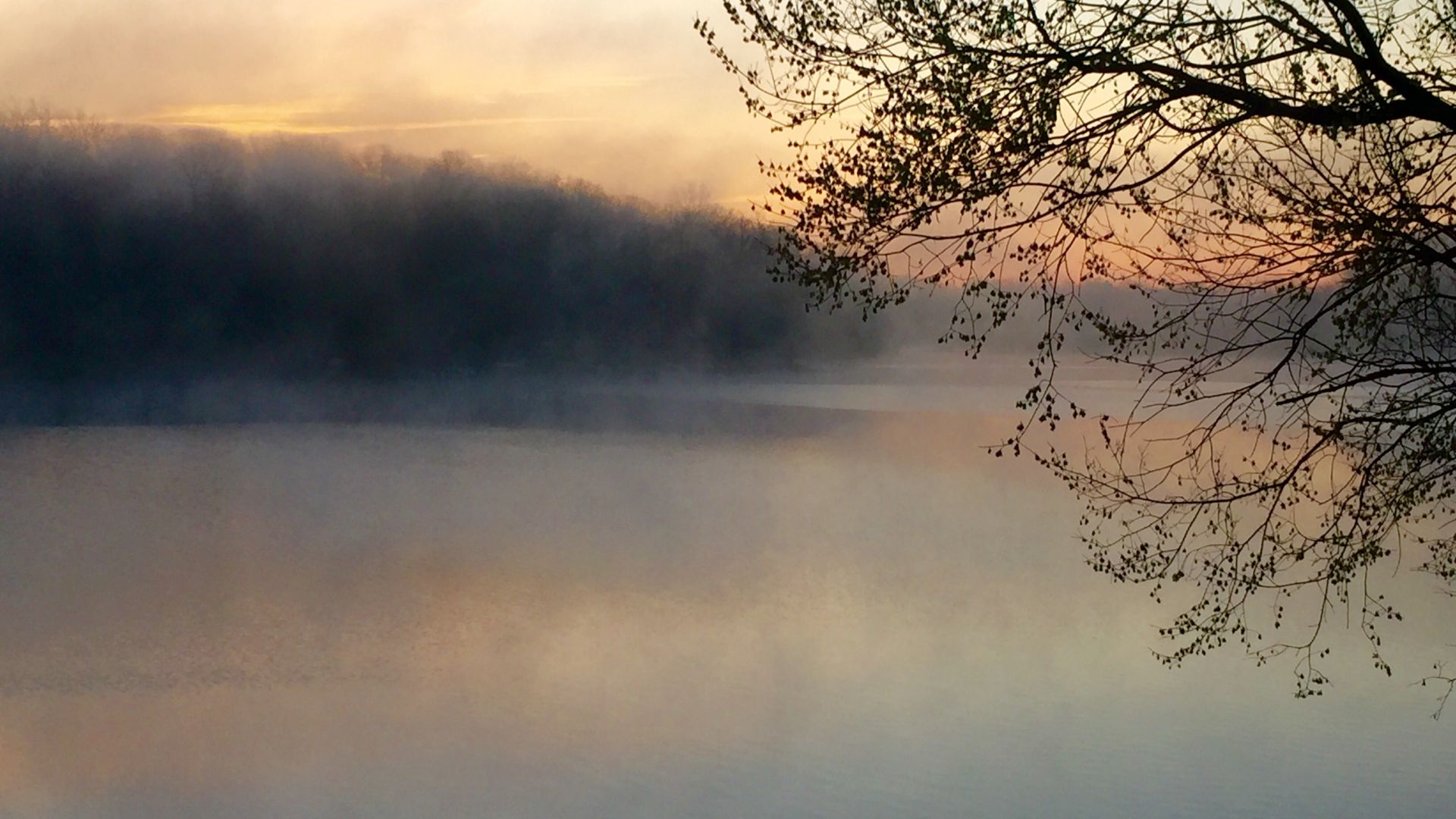 Fog Over Lake Wallpapers