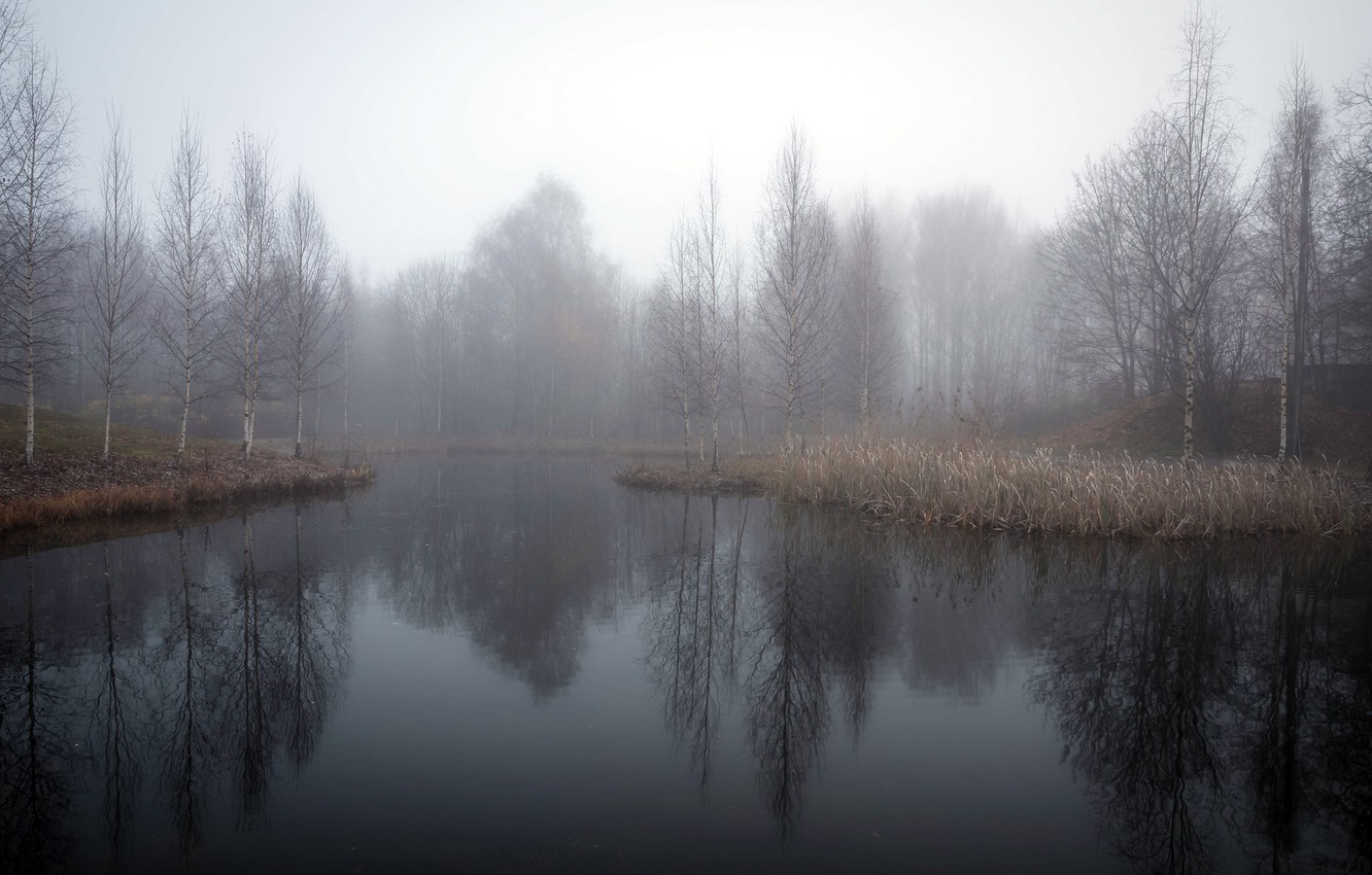 Fog Over Lake Wallpapers